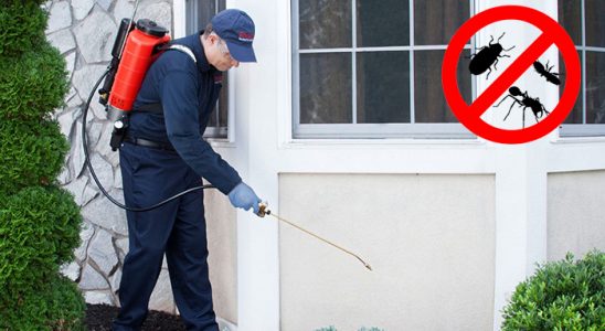 Sinop Bit İlaçlama böcek ilaçlama ve haşere kontrolü — ilaclama-tr.com